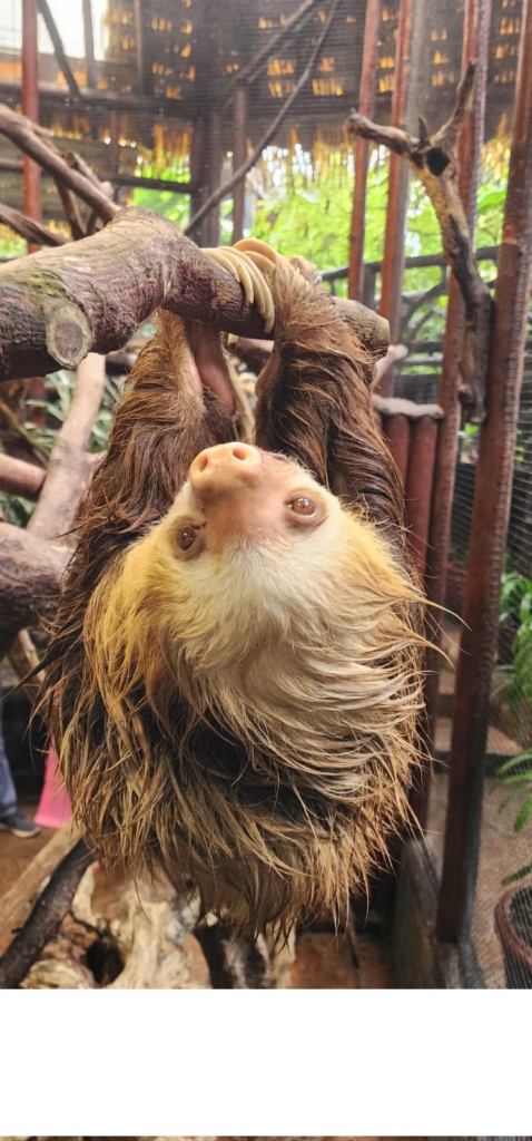 PHOTO-2026-02-03-13-44-37